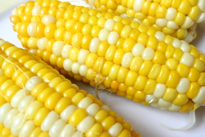 Corn_Dupont