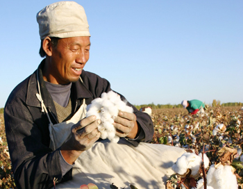 China cotton