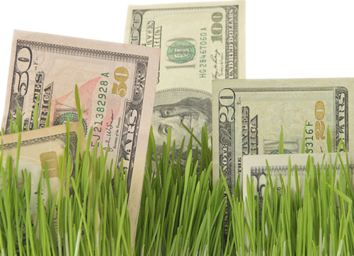 money and grass