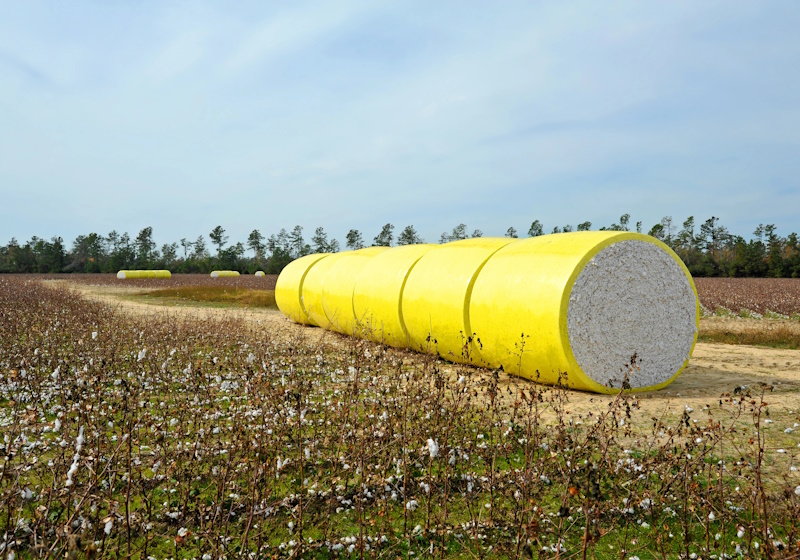 Better Cotton reveals Brazil audit findings