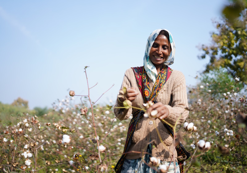 'Support in-conversion cotton farmers' - OCA