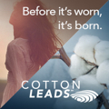 Cotton Leads July 22