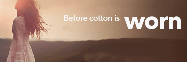 Cotton Leads October 2022