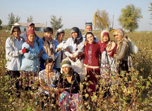 Uzbek cotton