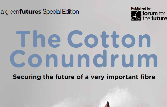 Cotton Conundrum