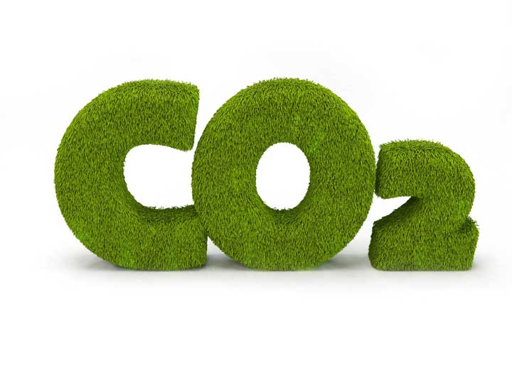 CO2 grass