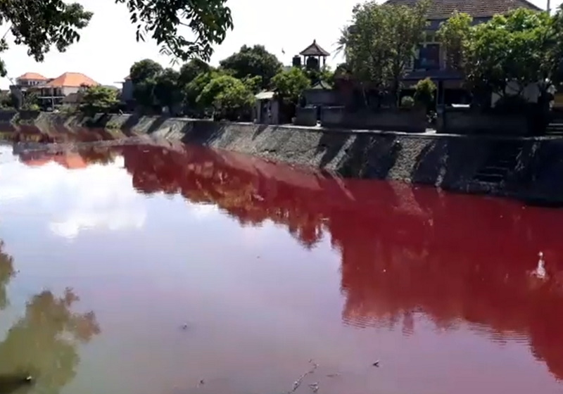 Textile Dyeing Plant Turns River Red Dyes Chemicals News News