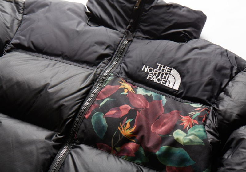 vf the north face