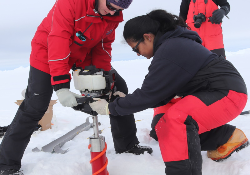 Synthetic microfibres found in Antarctica, Materials & Production News