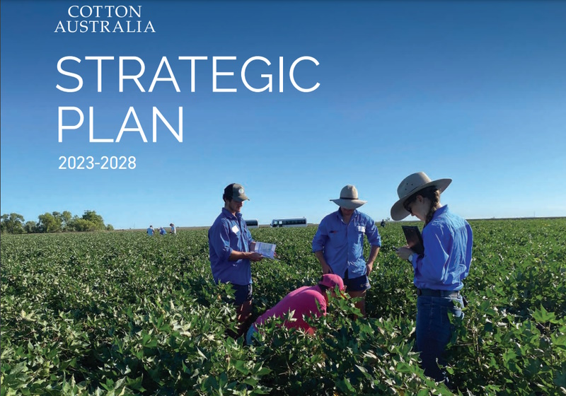 Cotton Australia releases five-year plan