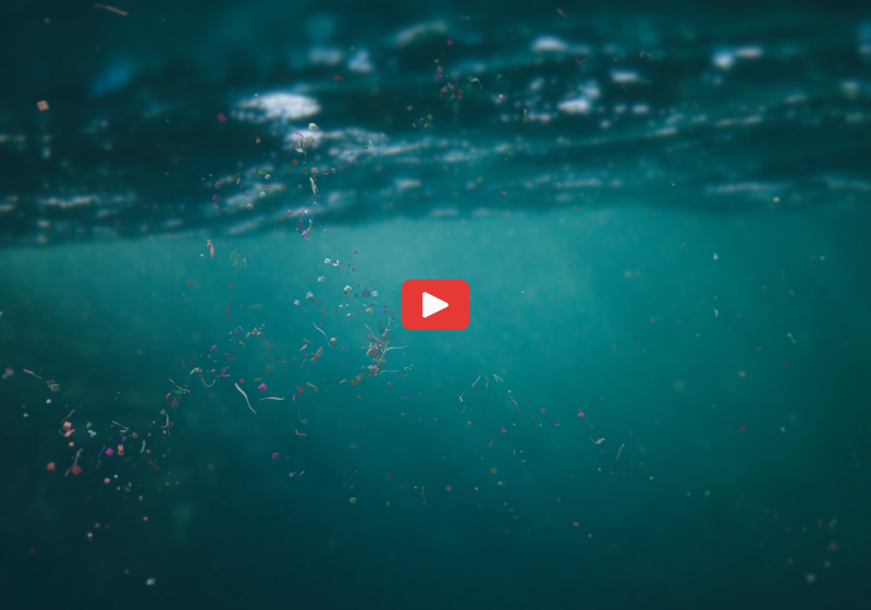 Video: How we came to understand microplastics