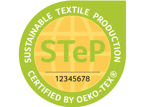 STeP logo
