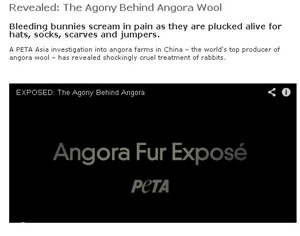 More retailers slap ban on Angora | Ecotextile News