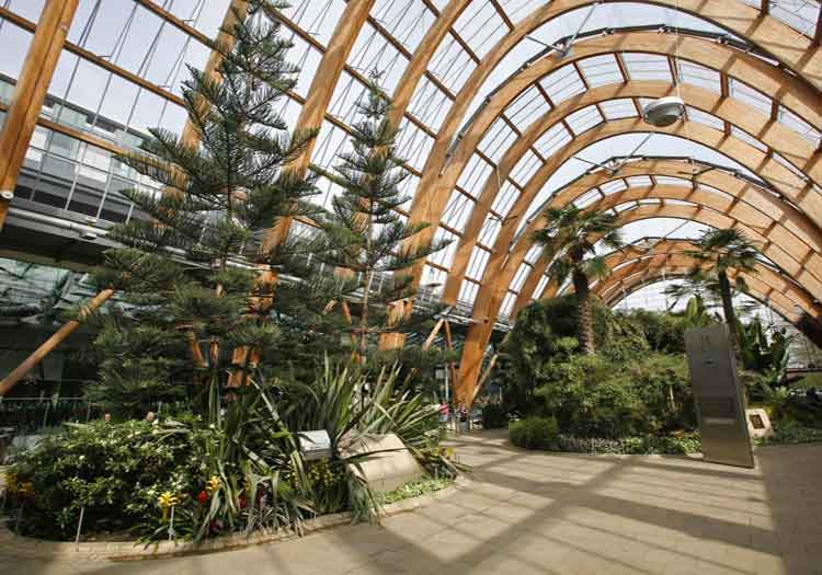Sheffield Winter Gardens