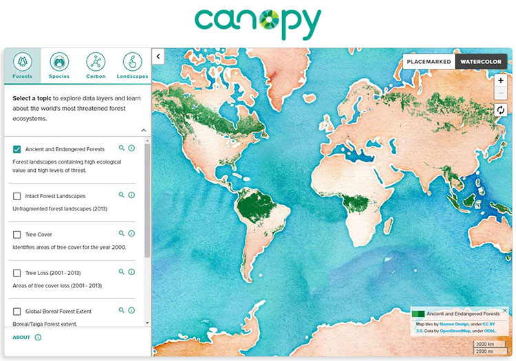 Apparel brands support forestry mapping tool | Ecotextile News