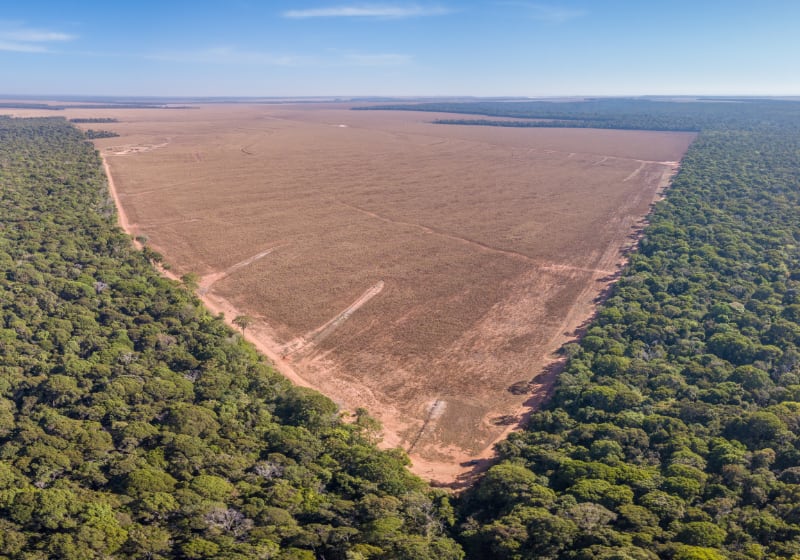 Drone panoramic aerial view of illegal amazon deforestation, Mato Grosso, Brazil.