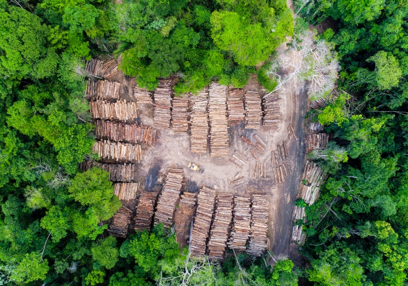 Deforestation in the amazon