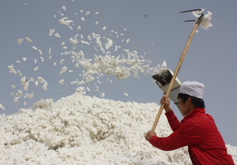 Xinjiang cotton worker