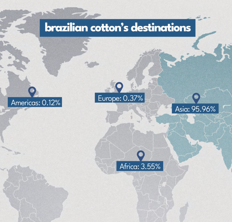 Brazil remains world's top cotton exporter | Ecotextile News