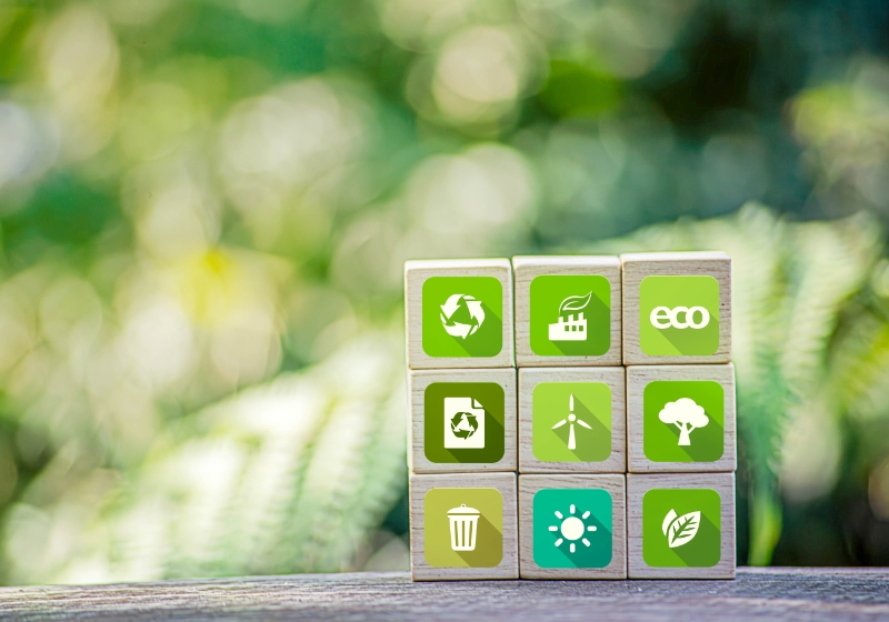 Sustainability concept