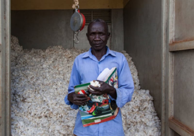 African organic cotton farmer